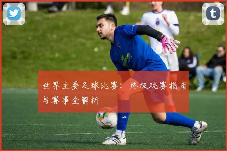 世界主要足球比赛：终极观赛指南与赛事全解析